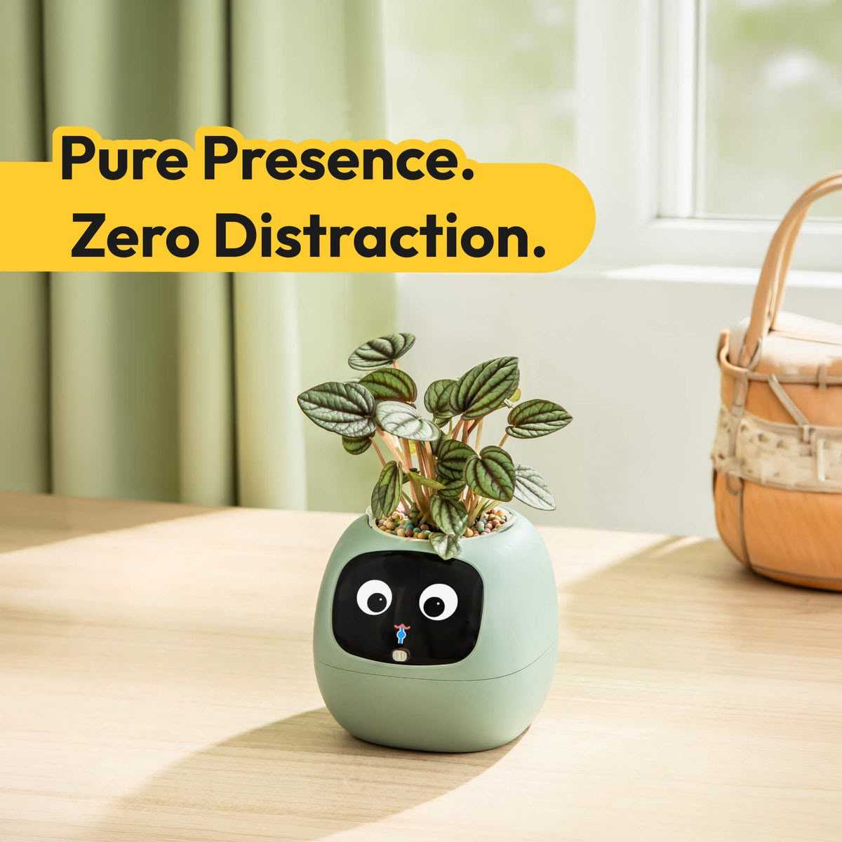 product cover