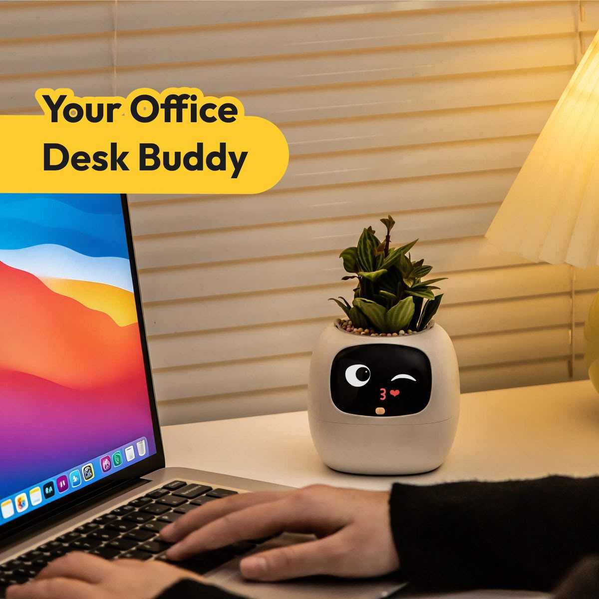 product cover
