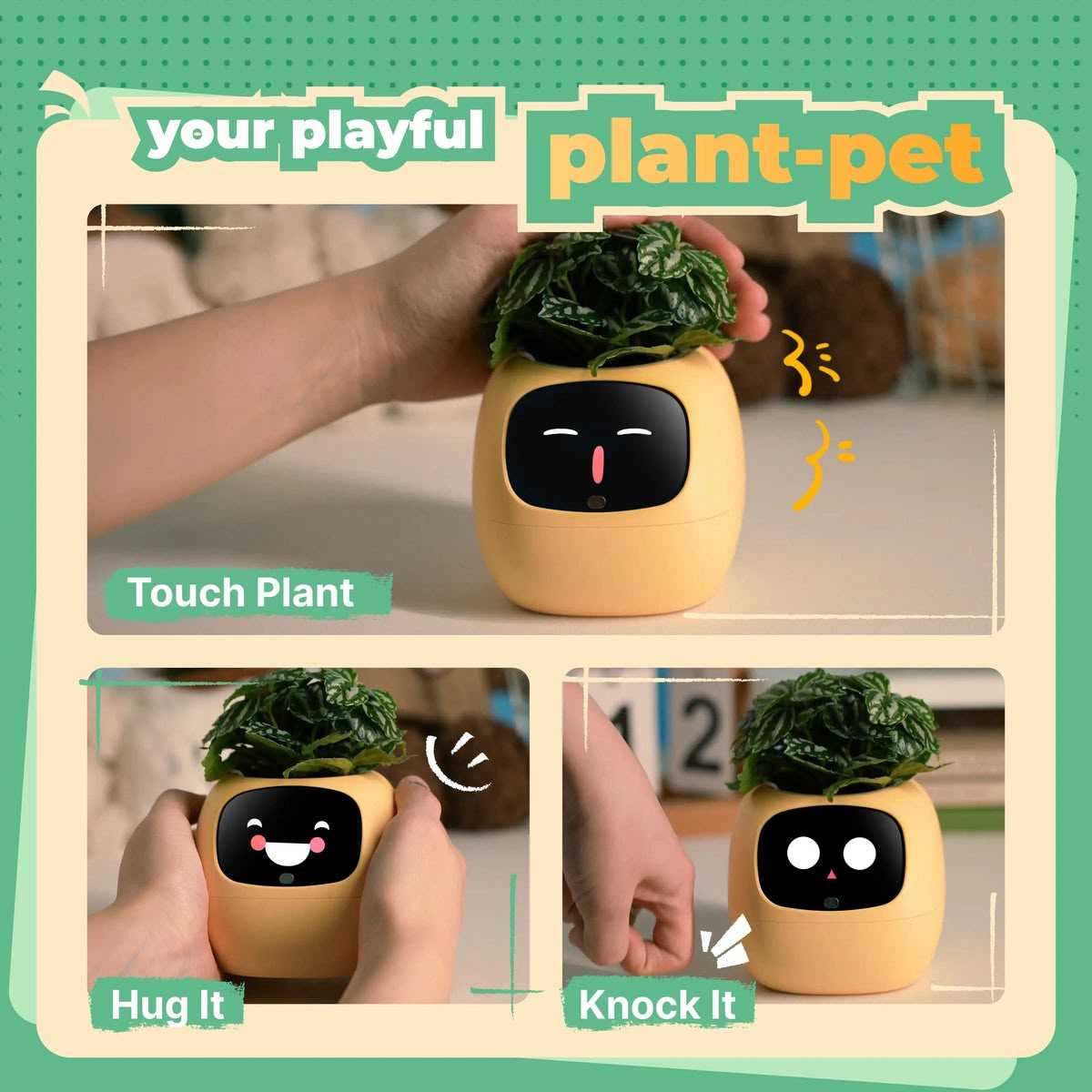 product cover