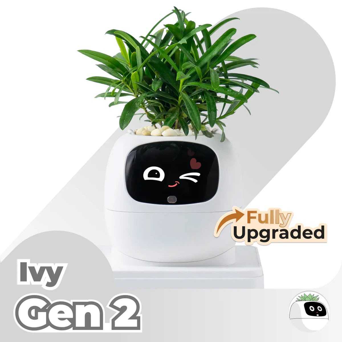 product cover